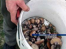 ����� � ����������� ����� ��������� � �������. 